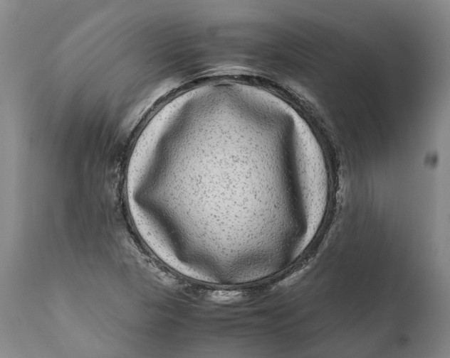 X0000111121313200907211041