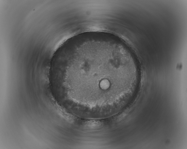 X0000111121314200907211041