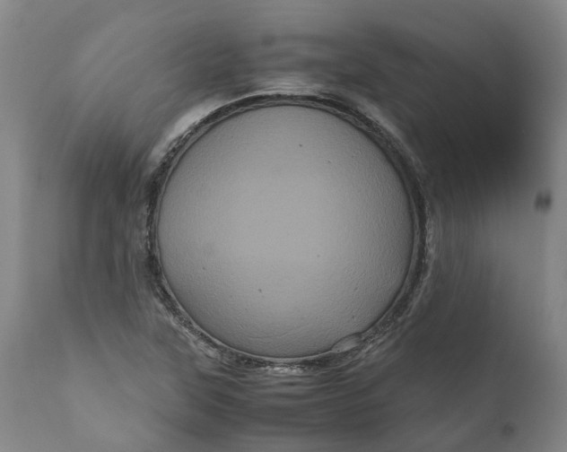 X0000111121315200907211041