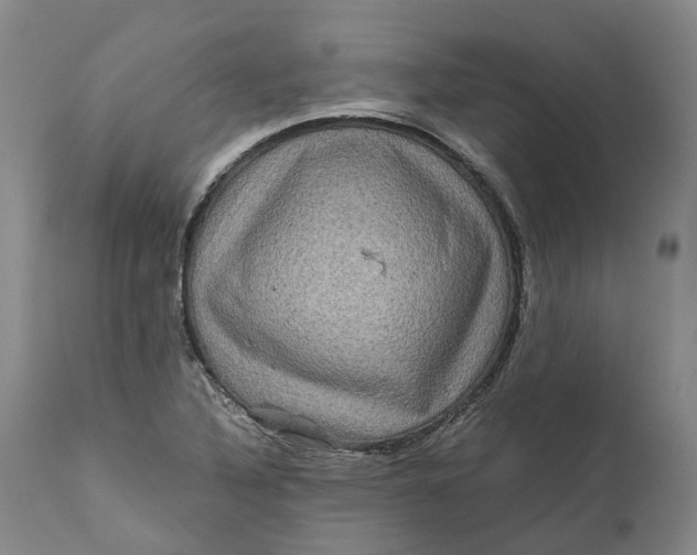 X0000111121316200907211041