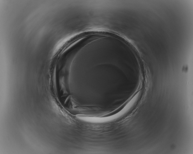 X0000111121319200907211041