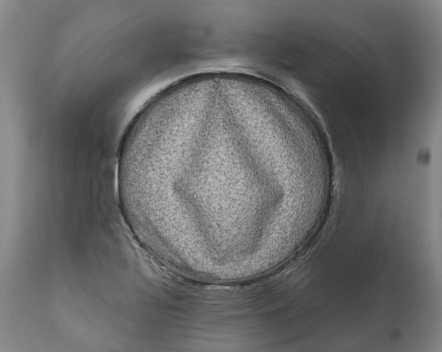 X0000111121320200907211041