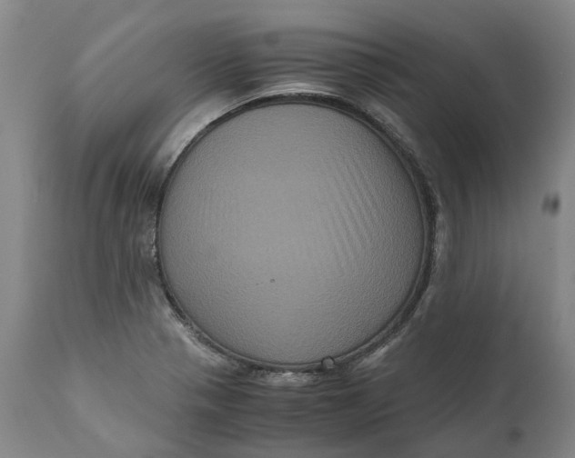 X0000111121321200907211041