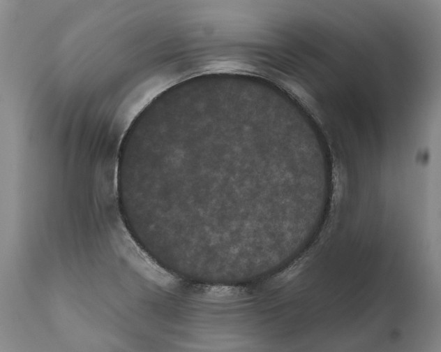 X0000111121322200907211041