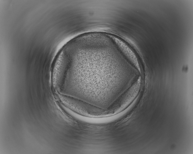 X0000111121324200907211041