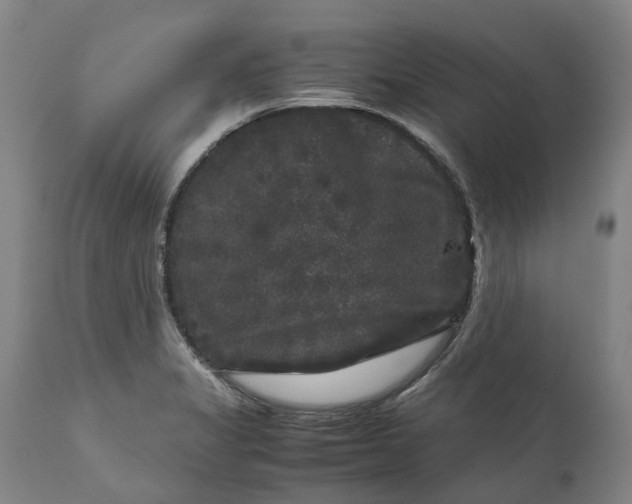 X0000111121325200907211041