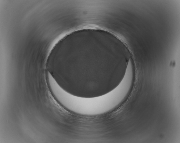 X0000111121326200907211041