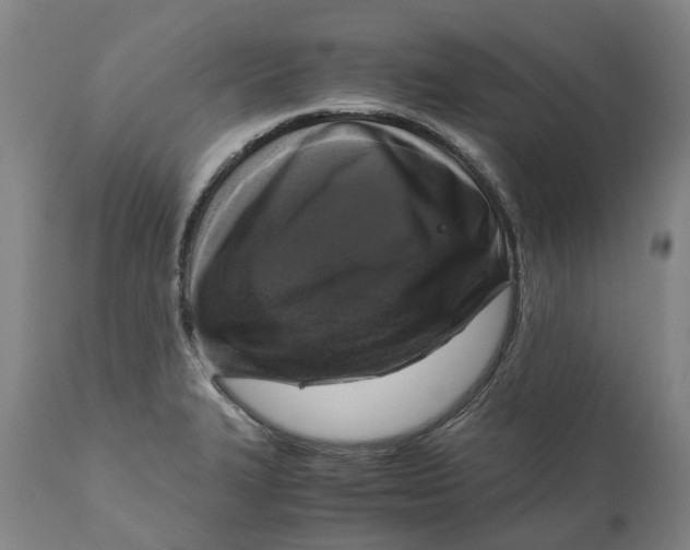 X0000111121327200907211041