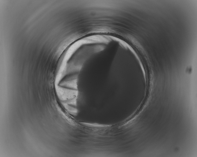 X0000111121329200907211041