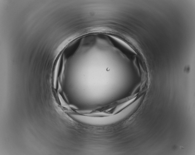 X0000111121330200907211041