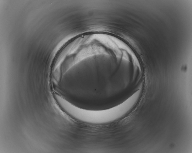 X0000111121331200907211041