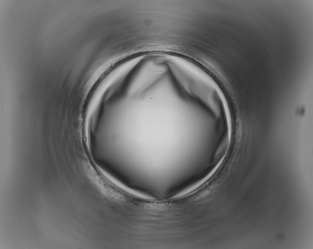 X0000111121332200907211041