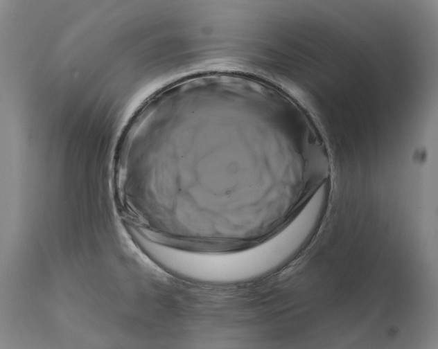 X0000111121334200907211041