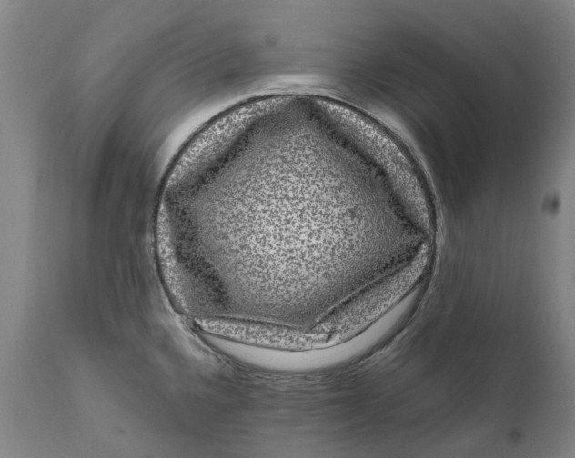 X0000111121336200907211041