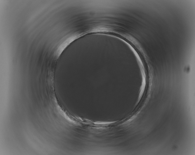 X0000111121337200907211041