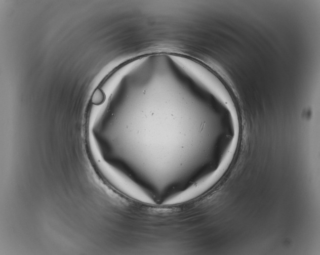 X0000111121339200907211041