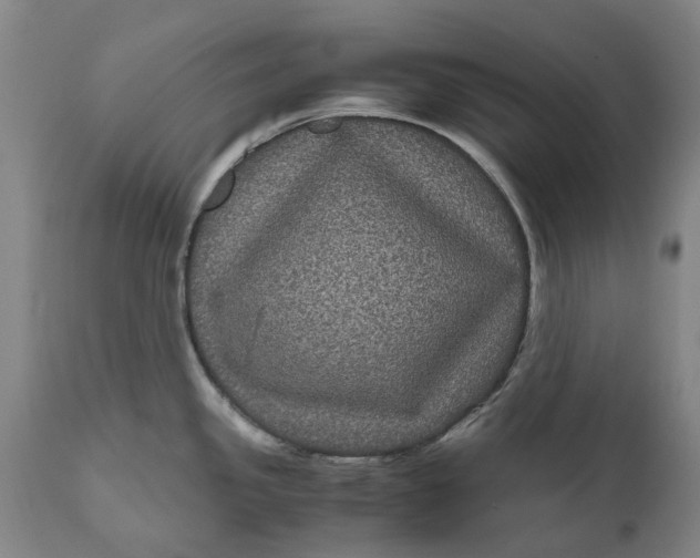 X0000111121341200907211041