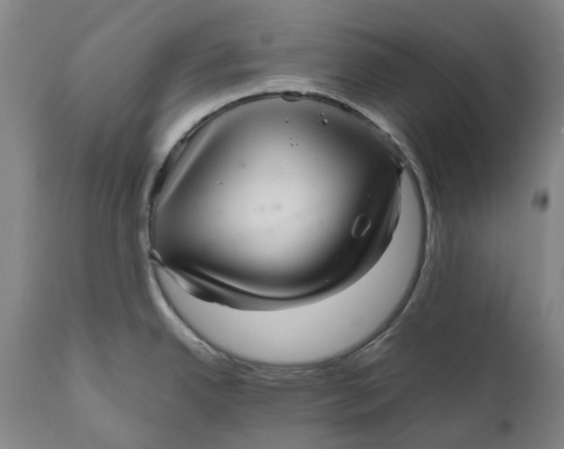 X0000111121342200907211041