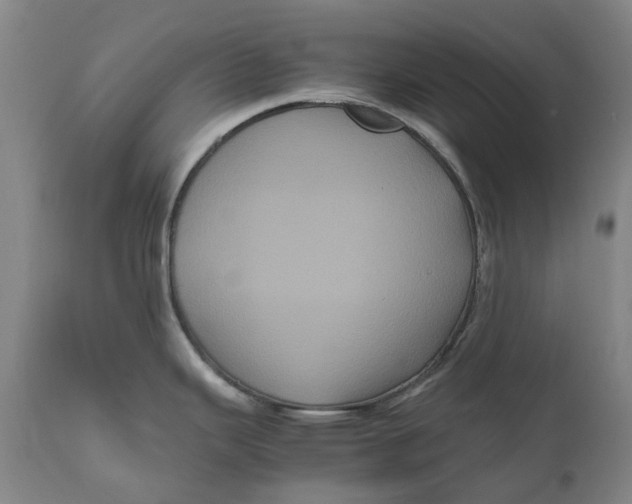 X0000111121343200907211041