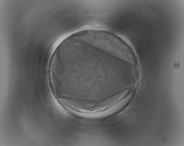 X0000111121344200907211041