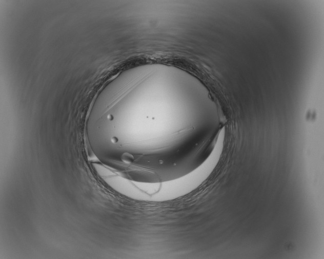 X0000111121345200907211040