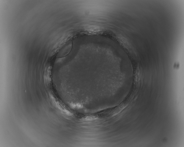 X0000111121346200907211040