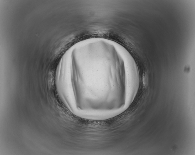 X0000111121347200907211040