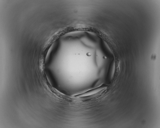 X0000111121348200907211040