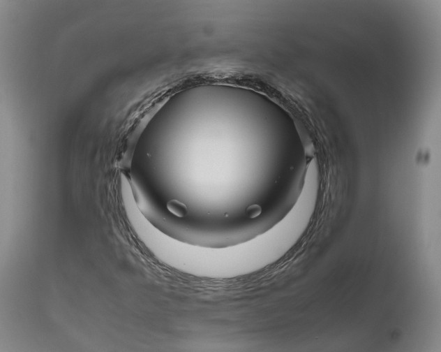 X0000111121349200907211040