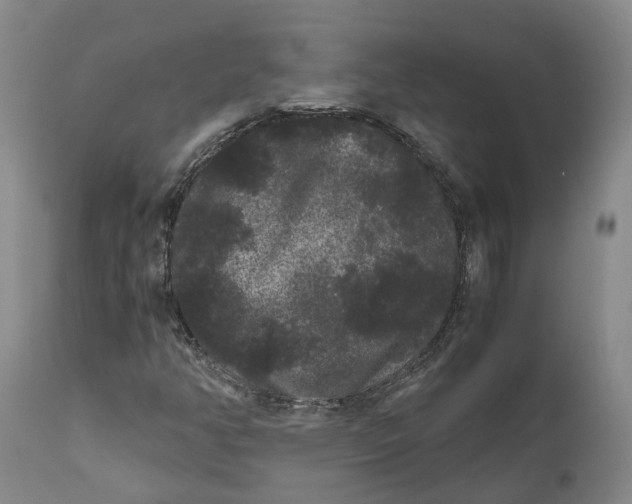 X0000111121350200907211040