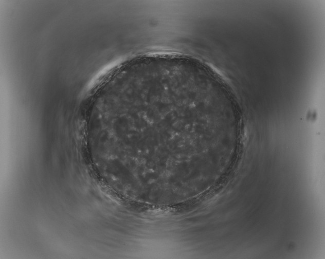 X0000111121351200907211040