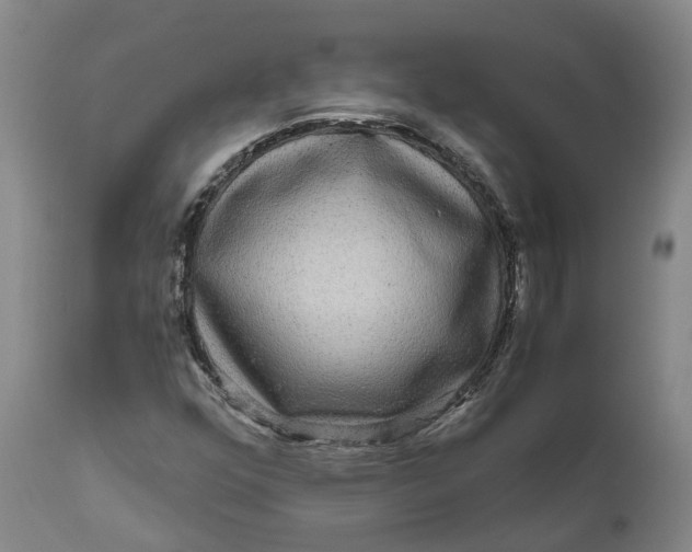 X0000111121352200907211040