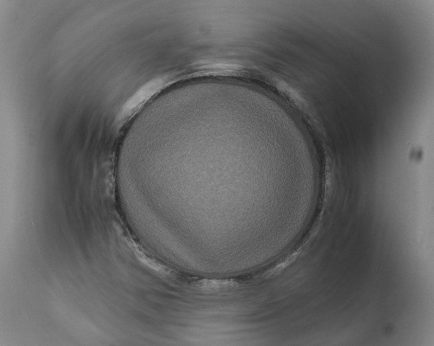 X0000111121354200907211040