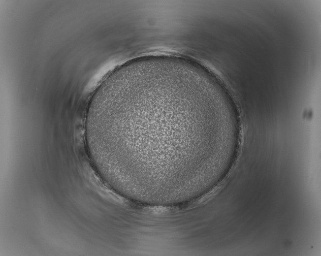 X0000111121355200907211040