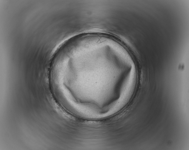 X0000111121356200907211040