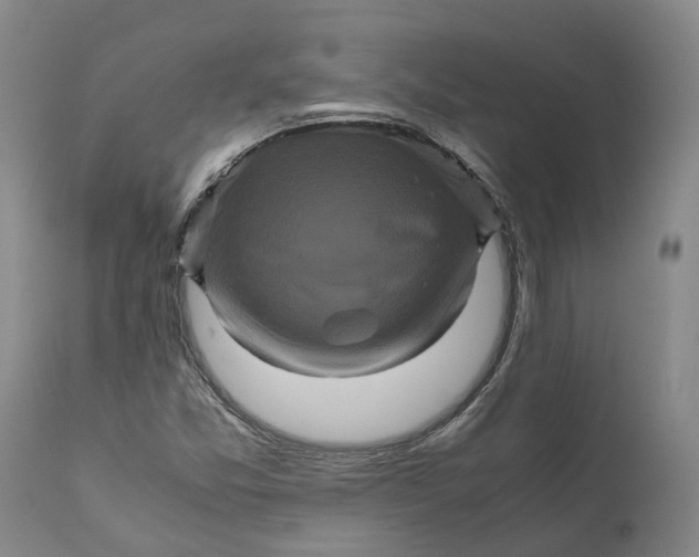 X0000111121357200907211040