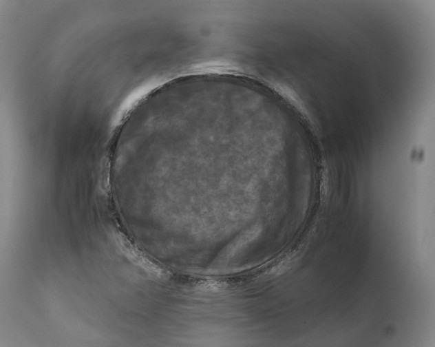 X0000111121358200907211040