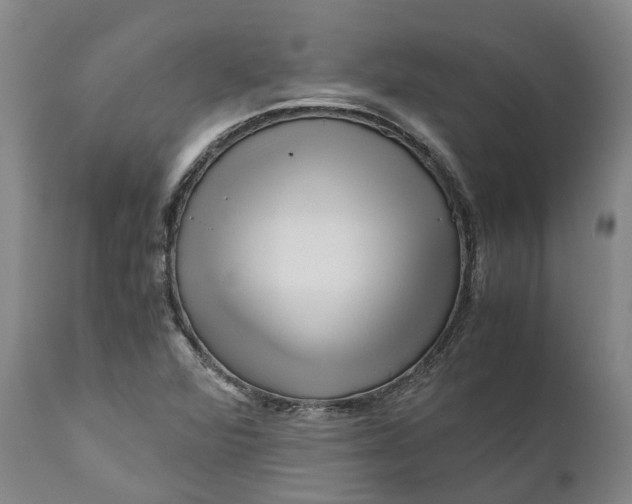 X0000111121360200907211040