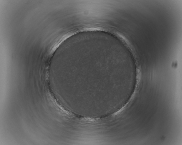 X0000111121361200907211040