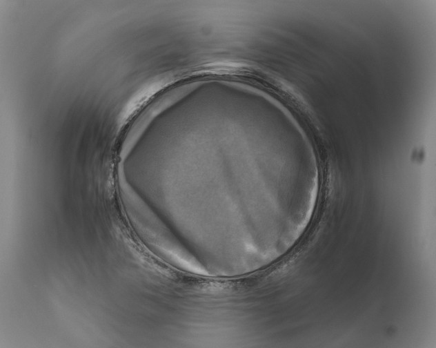 X0000111121362200907211040