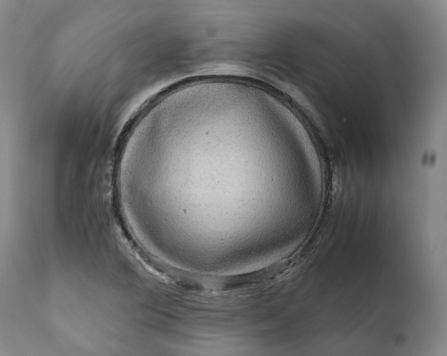 X0000111121364200907211040