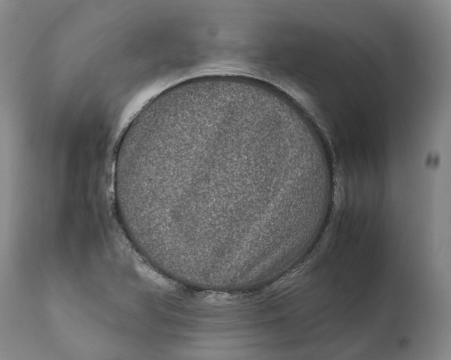 X0000111121366200907211040