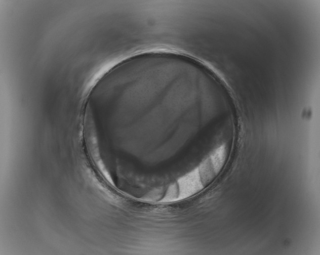 X0000111121367200907211040