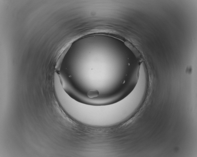 X0000111121369200907211040