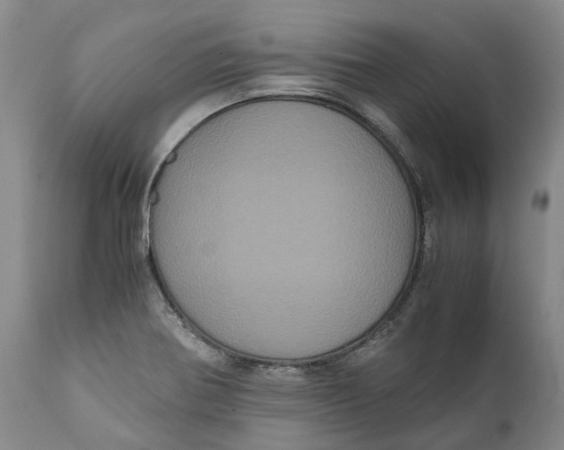 X0000111121370200907211040