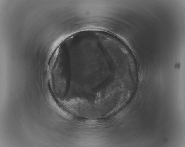 X0000111121371200907211040