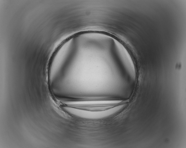 X0000111121372200907211040