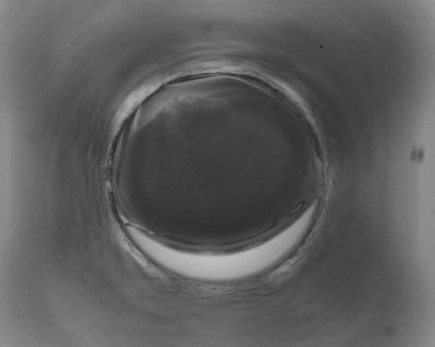 X0000111121373200907211040