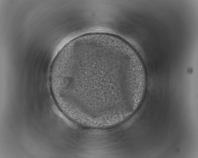 X0000111121374200907211040