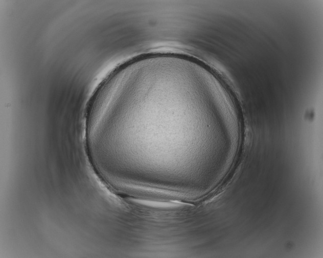 X0000111121376200907211040